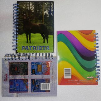 CUADERNO PEQUEÑO ESPIRAL 1 LINEA 200 HOJAS